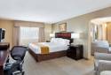 Holiday Inn Express Palestine