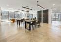 Studio Haus - Proposed Unscripted by Hyatt Conversion