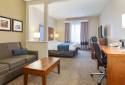 Comfort Inn & Suites - Baton Rouge Airport