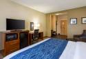 Comfort Inn & Suites - Baton Rouge Airport
