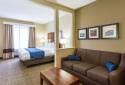 Comfort Inn & Suites - Baton Rouge Airport