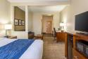 Comfort Inn & Suites - Baton Rouge Airport