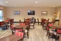 COMFORT SUITES LAKE GENEVA EAST
