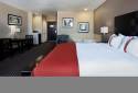 Holiday Inn San Antonio - North Stone Oak Area