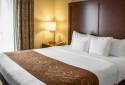 Comfort Suites Near SeaWorld