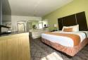 Best Western Plus North Houston Inn & Suites
