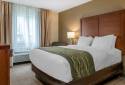 Comfort Inn & Suites Dimondale - Lansing