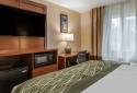 Comfort Inn & Suites Dimondale - Lansing