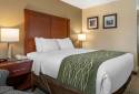 Comfort Inn & Suites Dimondale - Lansing
