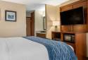 Comfort Inn & Suites Dimondale - Lansing