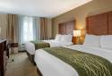 Comfort Inn & Suites Dimondale - Lansing