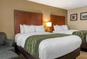 Comfort Inn & Suites Dimondale - Lansing