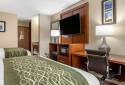 Comfort Inn & Suites Dimondale - Lansing