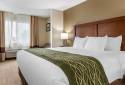 Comfort Inn & Suites Dimondale - Lansing