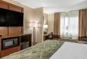 Comfort Inn & Suites Dimondale - Lansing