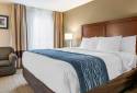 Comfort Inn & Suites Dimondale - Lansing