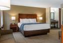 Comfort Inn & Suites Dimondale - Lansing