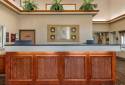 Comfort Inn & Suites Dimondale - Lansing