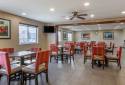 Comfort Inn & Suites Dimondale - Lansing