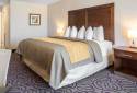 Comfort Inn & Suites Lovington
