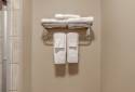 Landmark Suites Williston