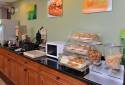Quality Inn & Suites Matteson Near I-57