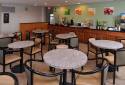 Quality Inn & Suites Matteson Near I-57