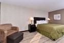 Quality Inn & Suites Matteson Near I-57