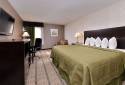 Quality Inn & Suites Matteson Near I-57