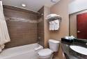 Quality Inn & Suites Matteson Near I-57