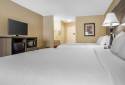 Best Western Plus Bessemer Hotel & Suites